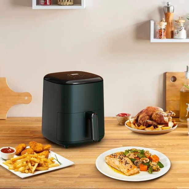 CVRTNIK NA VROČI ZRAK TEFAL EY245310 EASY FRY