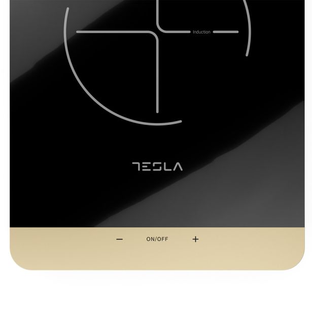 INDUKCIJSKI KUHALNIK TESLA IC401B