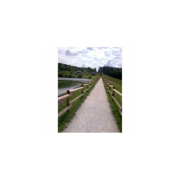 ELEMENT VRTNIH OGRAJ POLOKROGLICA FI 6X250 CM SMREKA
