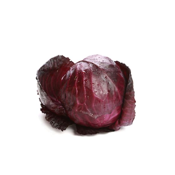 KAPUSNICE ZELJE RDEČE L10 CM