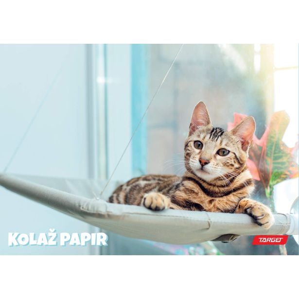 RISALNI LISTI,KOLAŽ PAPIR TARGET KOLAŽ PAPIR A4 20 LISTOV 100 G ANIMAL BABY 26066