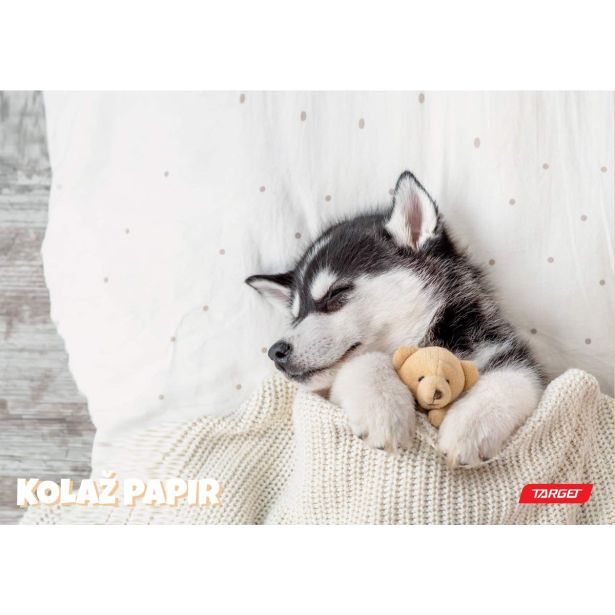 RISALNI LISTI,KOLAŽ PAPIR TARGET KOLAŽ PAPIR A4 20 LISTOV 100 G ANIMAL BABY 26066