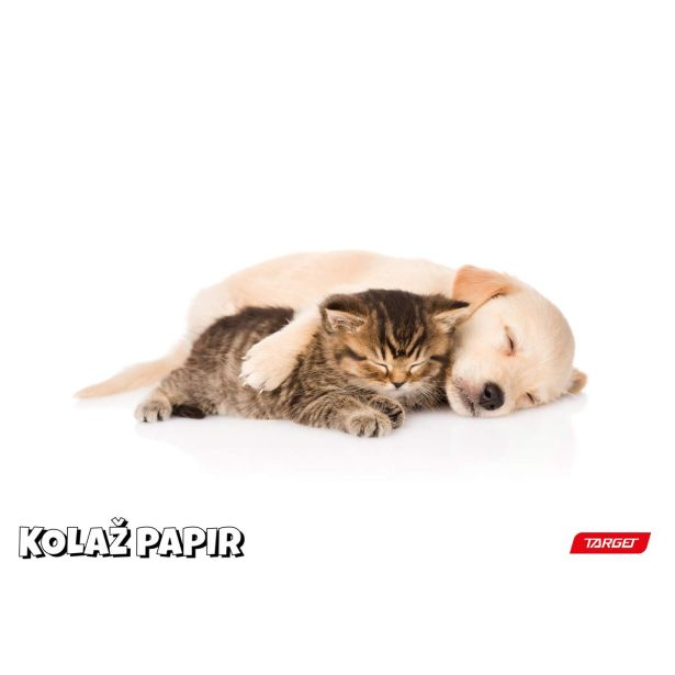 RISALNI LISTI,KOLAŽ PAPIR TARGET KOLAŽ PAPIR A4 20 LISTOV 100 G ANIMAL BABY 26066