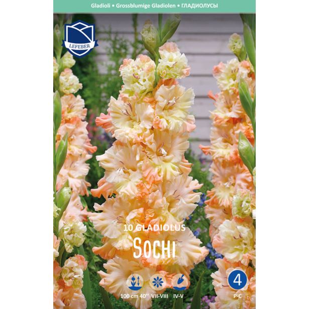 L GLADIOLA SOCHI