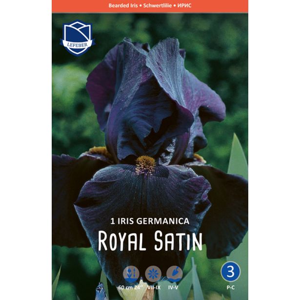 L IRIS (PERUNIKA) ROYAL SATIN