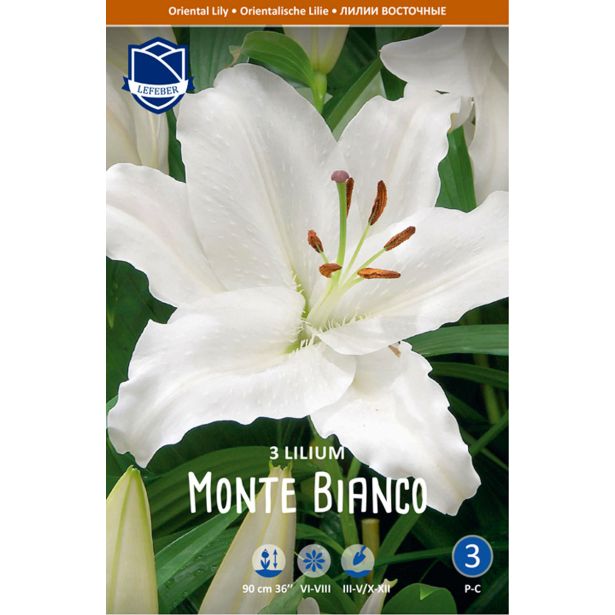 L LILIJA MONTE BIANCO