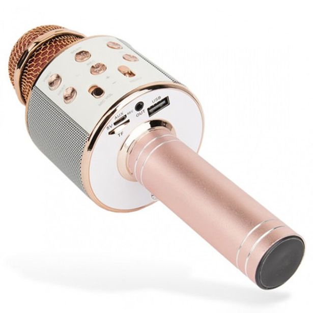 Mikrofon za karaoke z zvočnikom - roza
