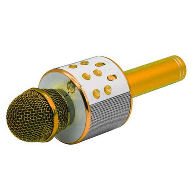 MIKROFON Z ZVOČNIKOM MANTA MIC10 ZLATA