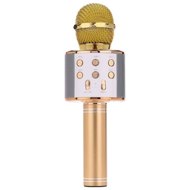 MIKROFON Z ZVOČNIKOM MANTA MIC10 ZLATA
