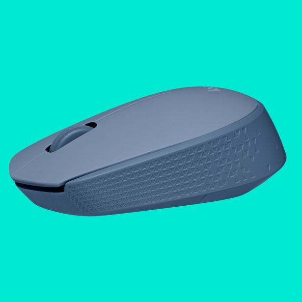 MIŠKA/KAZALNIK LOGITECH M171, MODRO SIVA