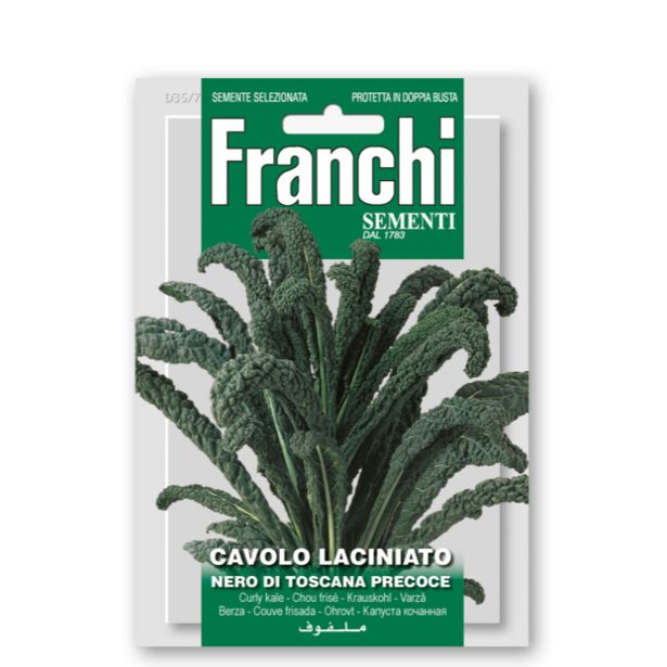 KAPUSNICA FRANCHI SEMENTI OHROVT NERO DI TOSCANA