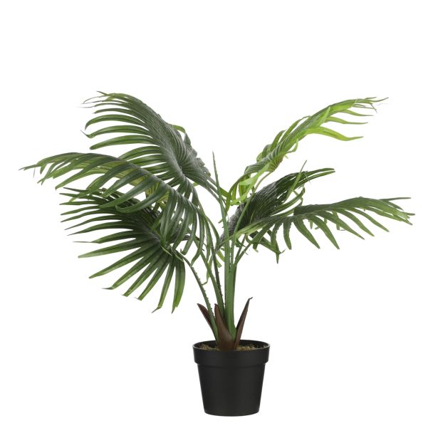UMETNO CVETJE MICA PALMA PAHLJAČA V80XŠ80CM