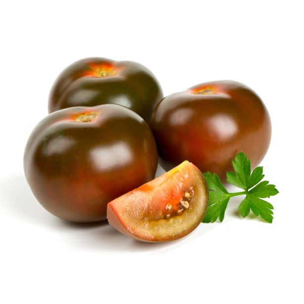 PLODOVKE L'ORTO FRUTTIFERO PARADIŽNIK ČRN 100G 1/1 SUN BLACK F1 L10
