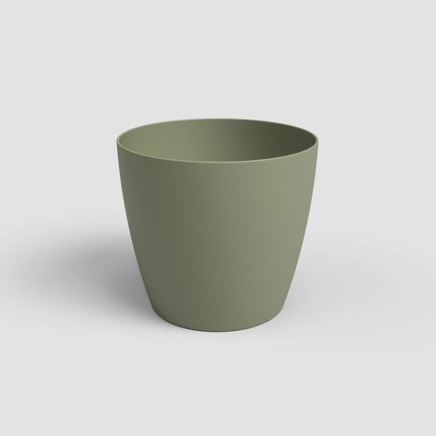 PE NOTRANJI LONEC ARTEVASI SAN REMO 14 CM ZELEN