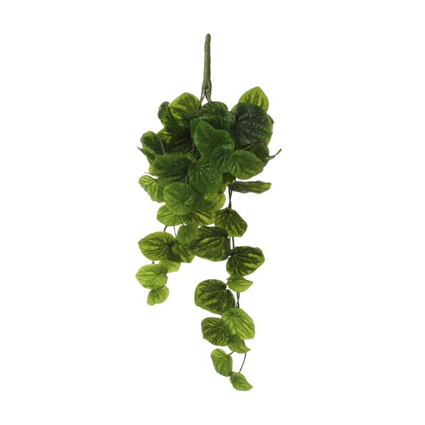 UMETNO CVETJE MICA PEPEROMIA VISEČA ZELENA D58XŠ20XP14CM