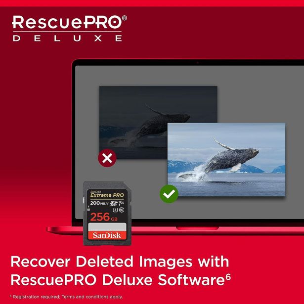 POMNILNIŠKA KARTICA SANDISK SAN EXTREME PRO 256GB SD