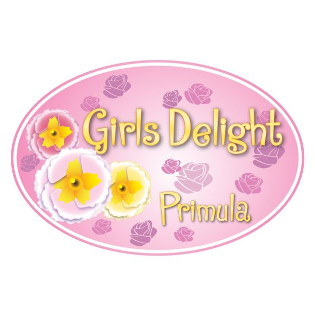 PRIMULA VOLMARY VULGARIS GIRL'S DELIGHT L11