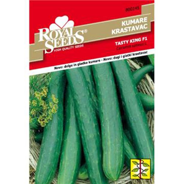 ROYAL SEEDS HOLANDSKE KUMARE TASTY KING F1