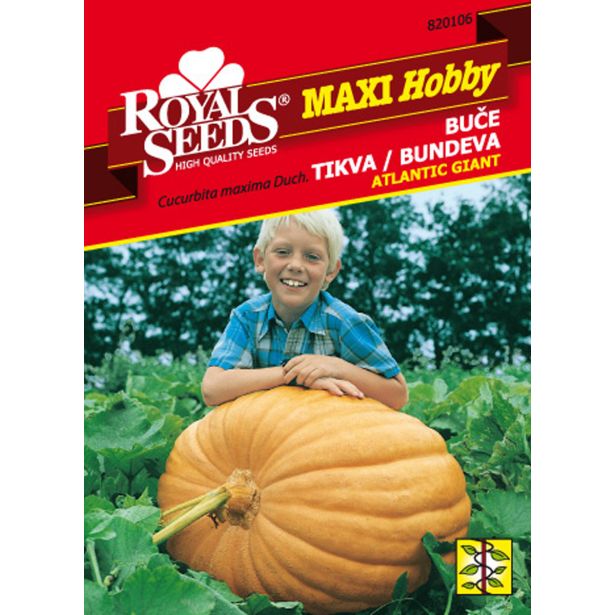 ROYAL SEEDS MAXI HOBBY BUČA ATLANTIC GIANT