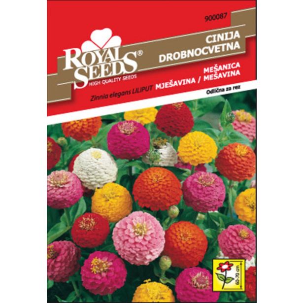 CINIJA ROYAL SEEDS LILIPUT DROBNOCVETNA. 87