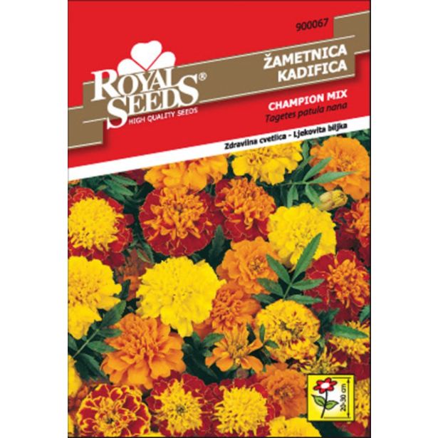 TAGETES ROYAL SEEDS ŽAMETNICA CM NIZKA 67