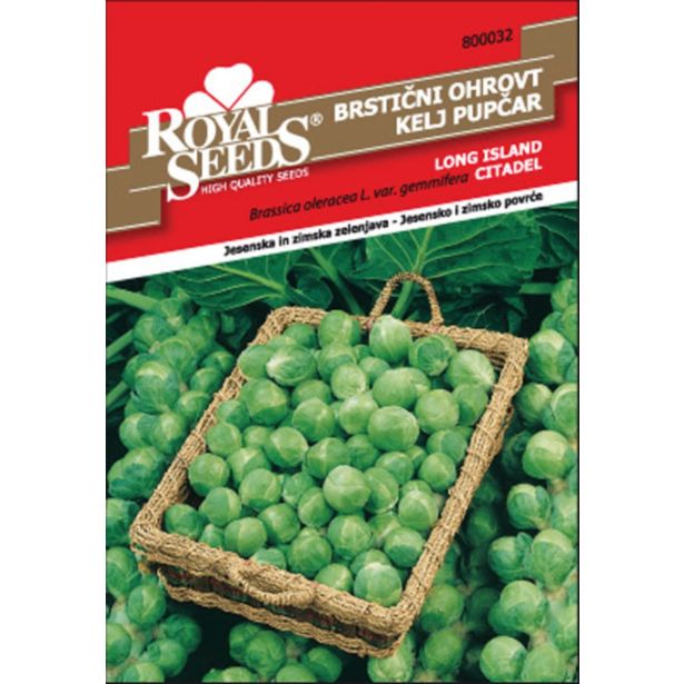 KAPUSNICA ROYAL SEEDS BRSTIČNI OHROVT L. I. 32