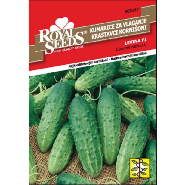 PLODOVKA ROYAL SEEDS KUMARE LEVINA F1 147