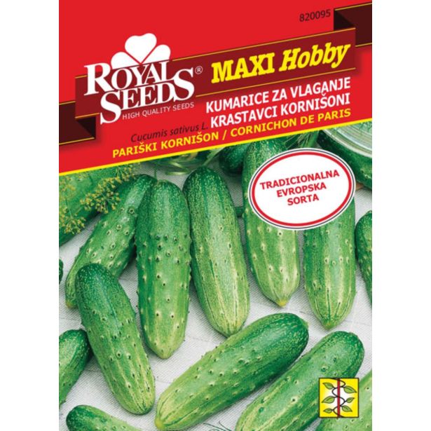 PLODOVKA ROYAL SEEDS KUMARE PARIŠKI KORN.MH 95