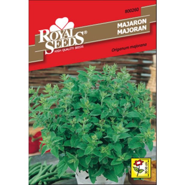 MAJARON ROYAL SEEDS 260