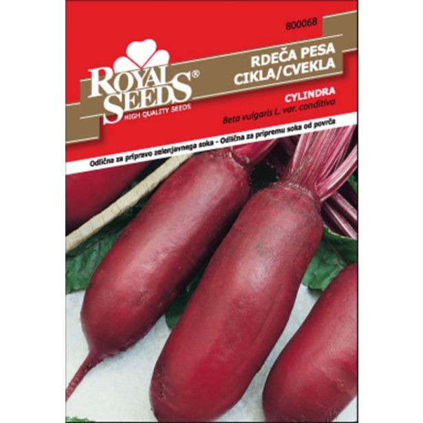 KORENOVKA ROYAL SEEDS PESA RD. CYLINDRA 68