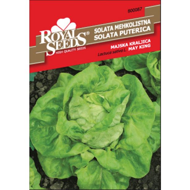 LISTNA ZELENJAVA ROYAL SEEDS SOLATA MAJSKA KRALJICA 87