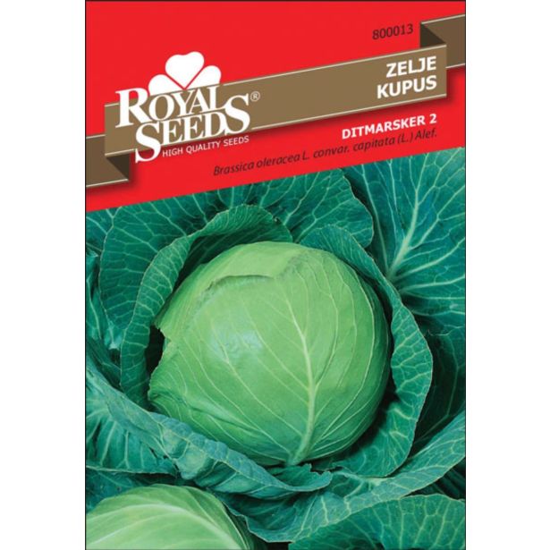 KAPUSNICA ROYAL SEEDS ZELJE DITMAR 13