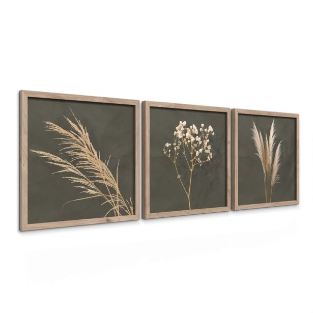 SLIKA STYLER PAMPAS TROJNA Z OKVIRJEM 30X30 FR391