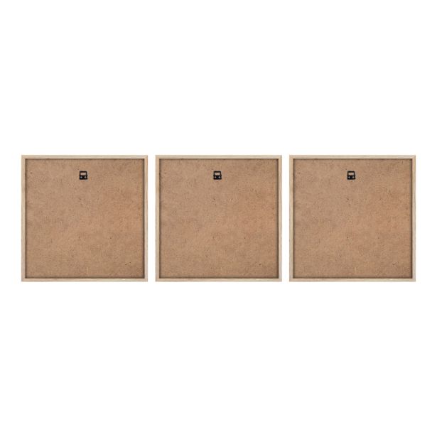 SLIKA STYLER PAMPAS TROJNA Z OKVIRJEM 30X30 FR391