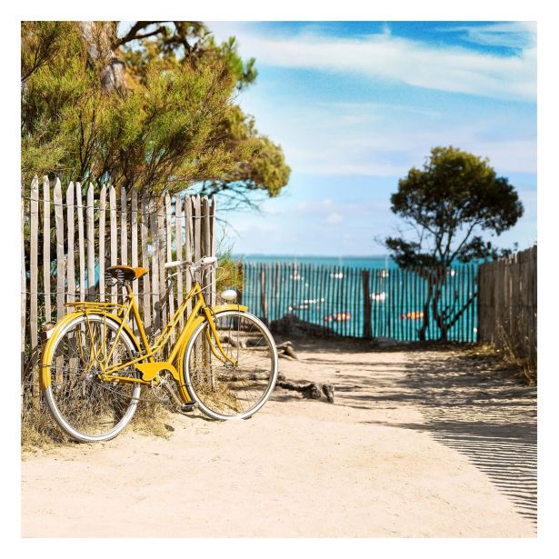 SLIKA STYLER YELLOW BIKE STEKLENA 30X30 GL333