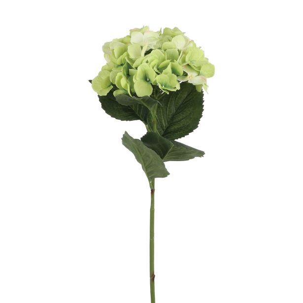 HORTENZIJA  ZELENA - 68CM