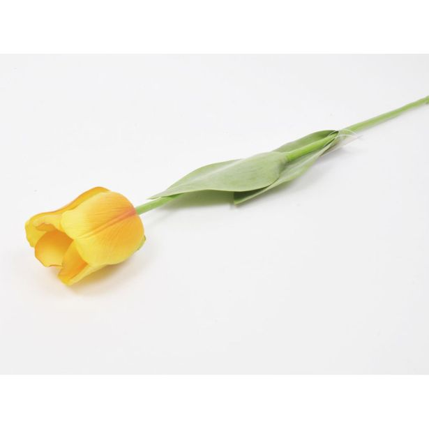 TULIPAN ENOJNI, 64, RUMEN