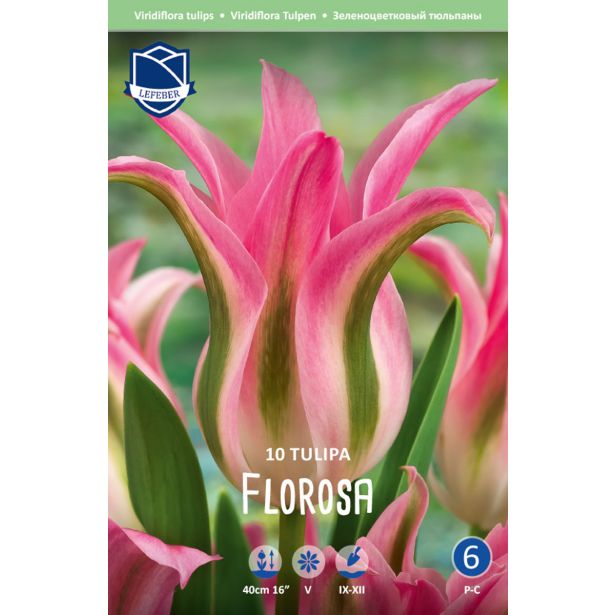 TULIPANI FLOROSA