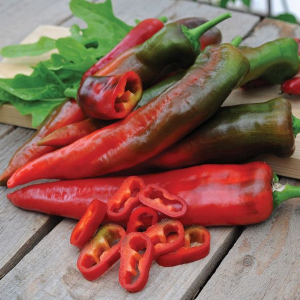 PLODOVKE DOBRO & ZDRAVO CEPLJENA PAPRIKA LIPARI F1