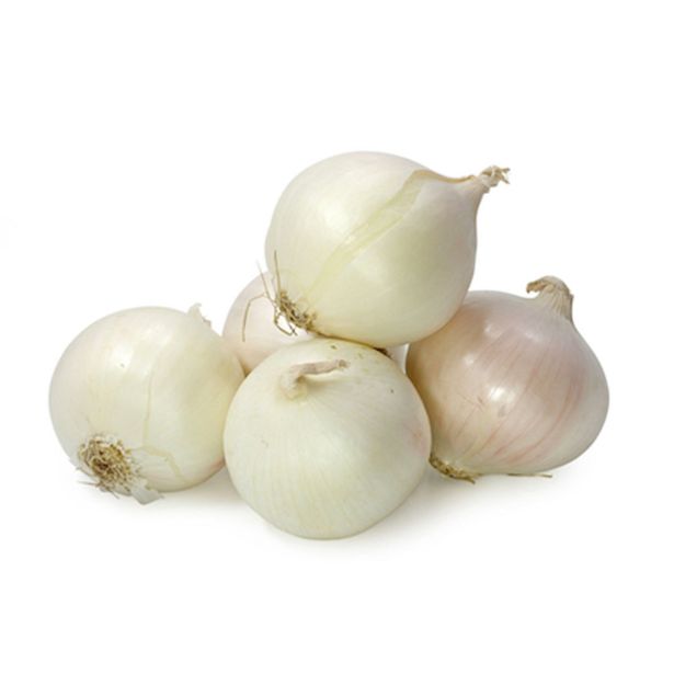 ZELENJAVNA SADIKA ČEBULA 9 KOS