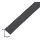 PLOSKA PALICA ALBERTS ALU, 20X2X2000 MM ČRNO ELOKSIRANA