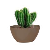 PE NOTRANJI LONEC BAHIA PLANT BOX TAUPE OVAL 22X13 CM