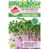 SEME VRTNINE ROYAL SEEDS BIO KOLERABICA RDEČA