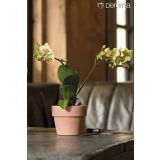 GLINENI ZUNANJI LONEC DEROMA CACHEPOT PERFETTO BELJEN 13 CM