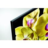 TELEVIZOR SONY KD55XG8096BAEP