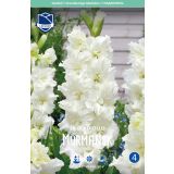 L GLADIOLA MURMANSK