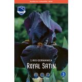 L IRIS (PERUNIKA) ROYAL SATIN