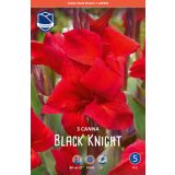 L KANA BLACK NIGHT