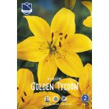 L LILIJA GOLDEN TYCOON