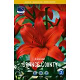 L LILIJA ORANGE COUNTY